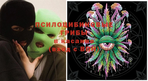 гидра Карпинск