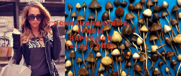 гидра Карпинск