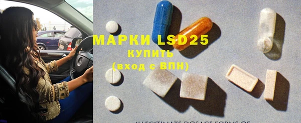 прущие грибы Каменск-Шахтинский