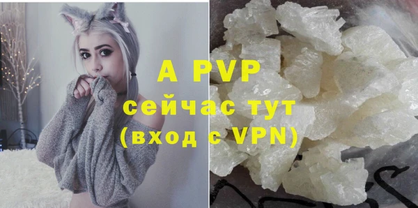 винт Касимов