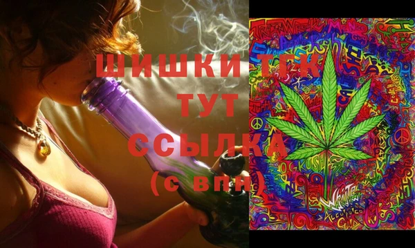 винт Касимов