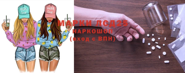 гидра Карпинск