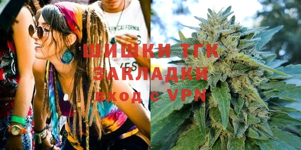 гидра Карпинск