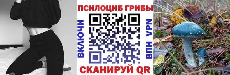 Псилоцибиновые грибы GOLDEN TEACHER  где можно купить наркотик  Приморск 